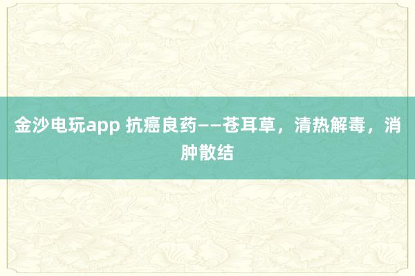 金沙電玩app 抗癌良藥——蒼耳草，清熱解毒，消腫散結(jié)