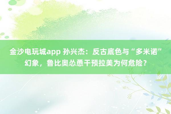 金沙電玩城app 孫興杰：反古底色與“多米諾”幻象，魯比奧慫恿干預拉美為何危險？