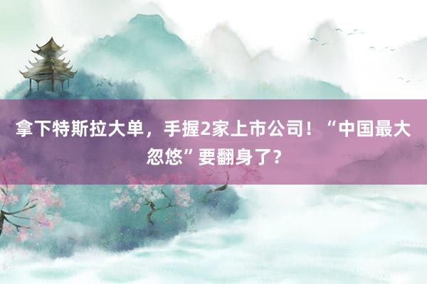 拿下特斯拉大單，手握2家上市公司！“中國最大忽悠”要翻身了？