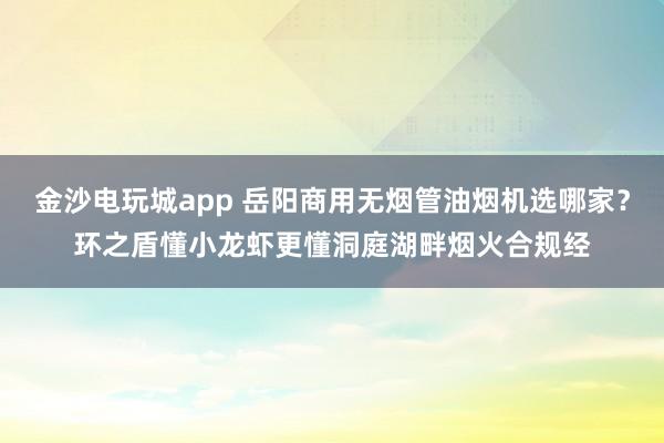 金沙電玩城app 岳陽商用無煙管油煙機選哪家？環之盾懂小龍蝦更懂洞庭湖畔煙火合規經