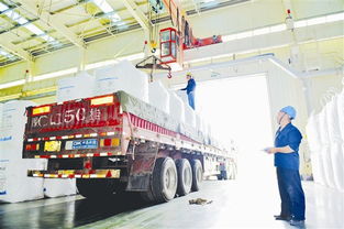 義馬市 聚焦產業升級 加快轉型發展